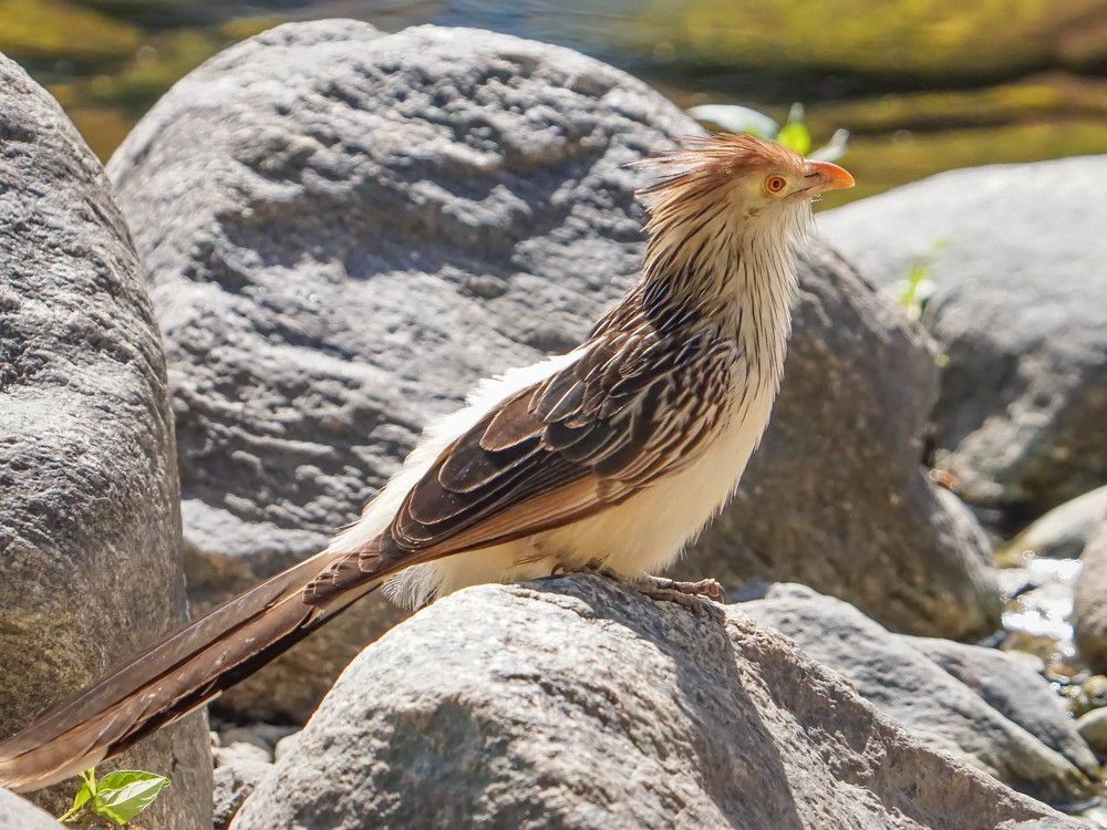 Photograph by Karina Elena Bergagna