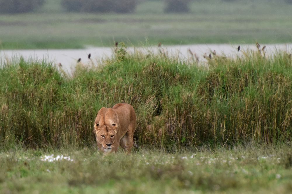 Photograph by Наталья Ляшенко