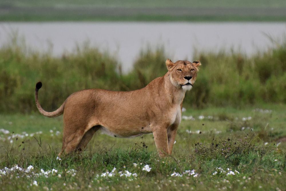 Photograph by Наталья Ляшенко