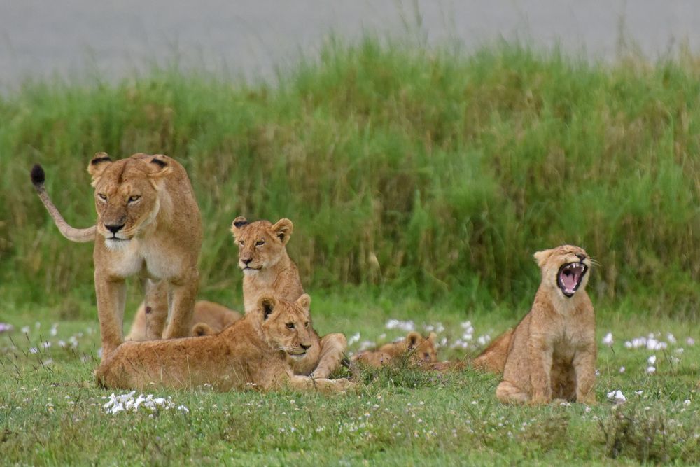 Photograph by Наталья Ляшенко