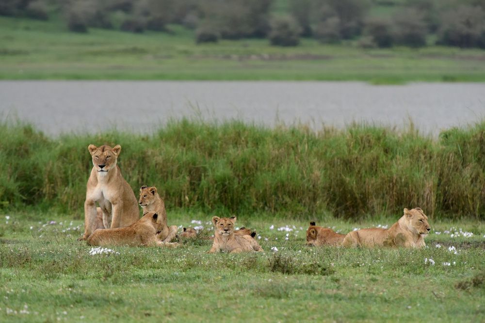 Photograph by Наталья Ляшенко