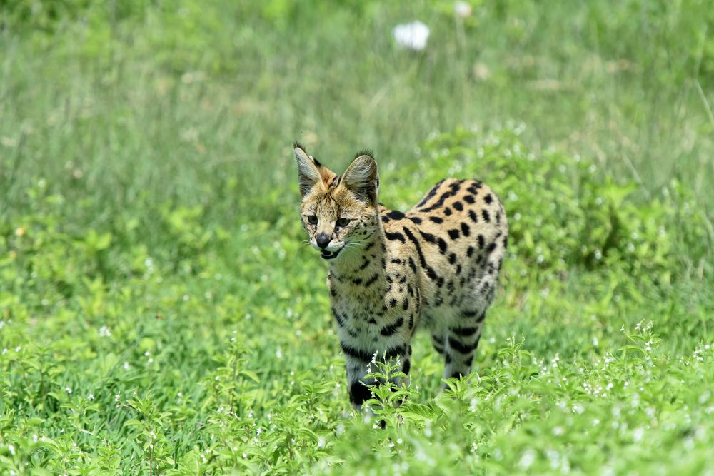 Photograph by Наталья Ляшенко