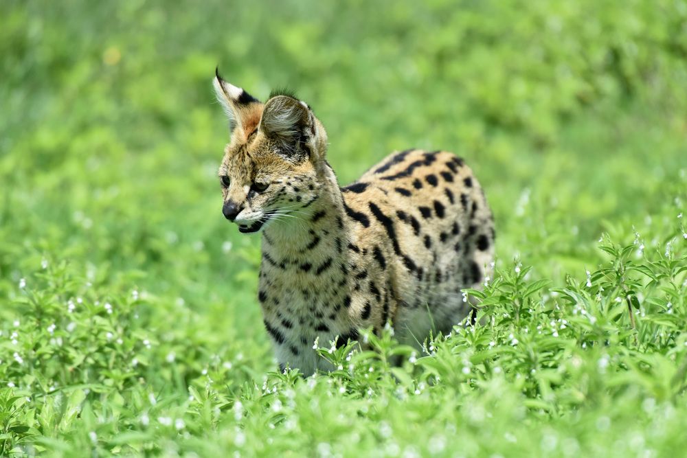 Photograph by Наталья Ляшенко