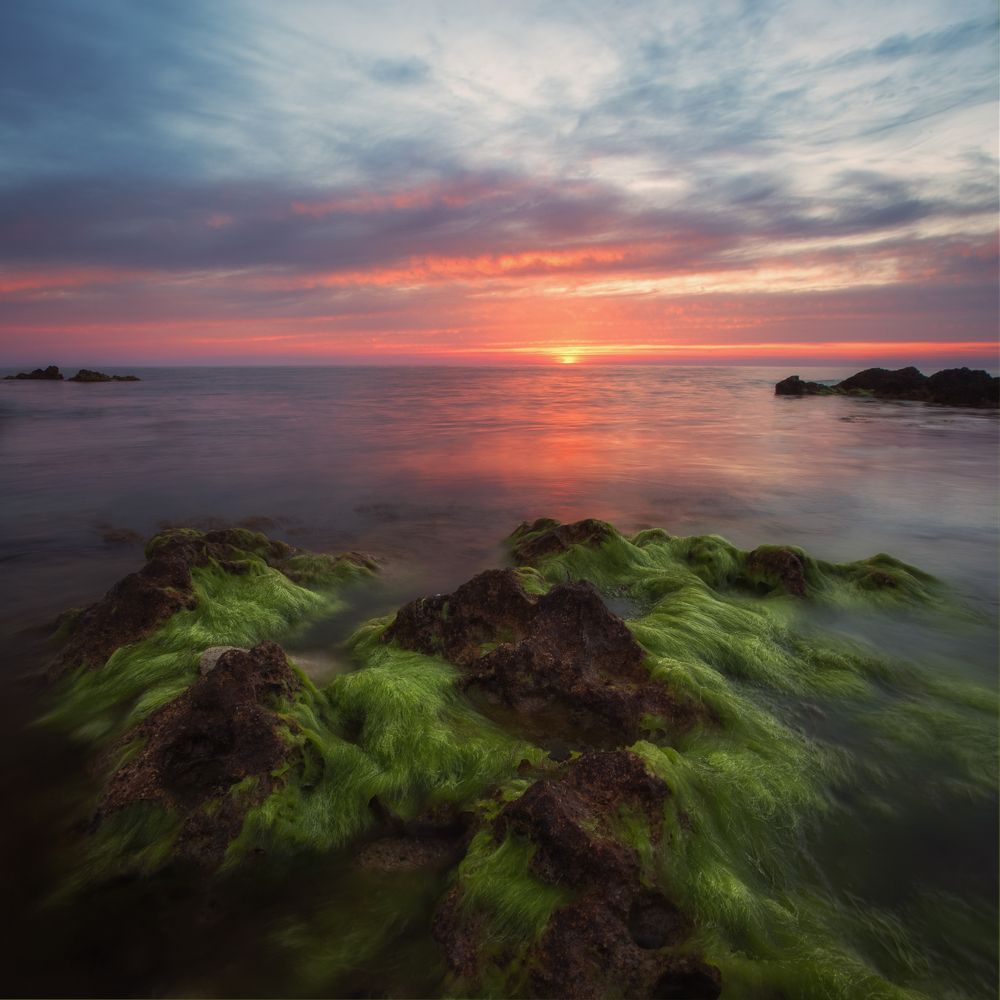 Фотография автора Екатерина Дмитренко