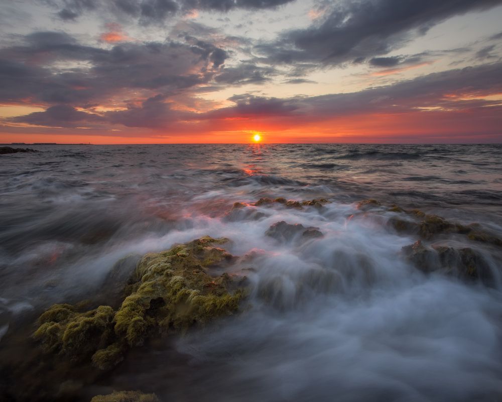 Фотография автора Екатерина Дмитренко