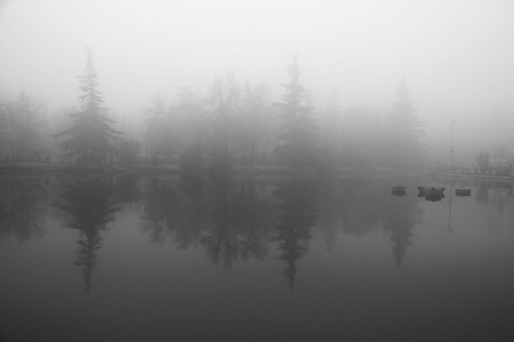 Photograph by Hamed R.Khosroshahi