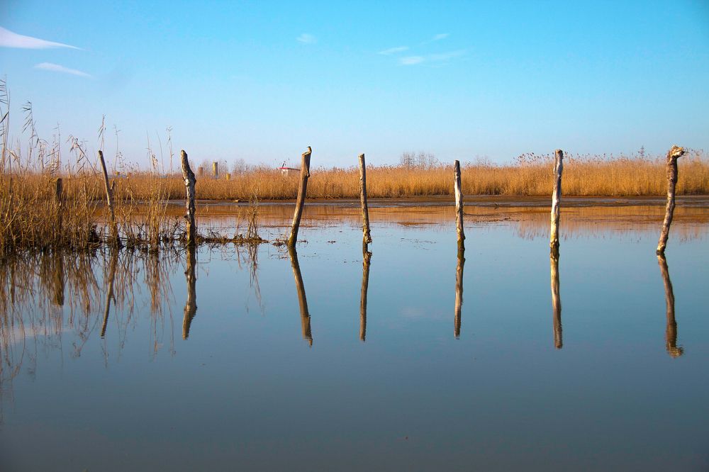 Photograph by Hamed R.Khosroshahi