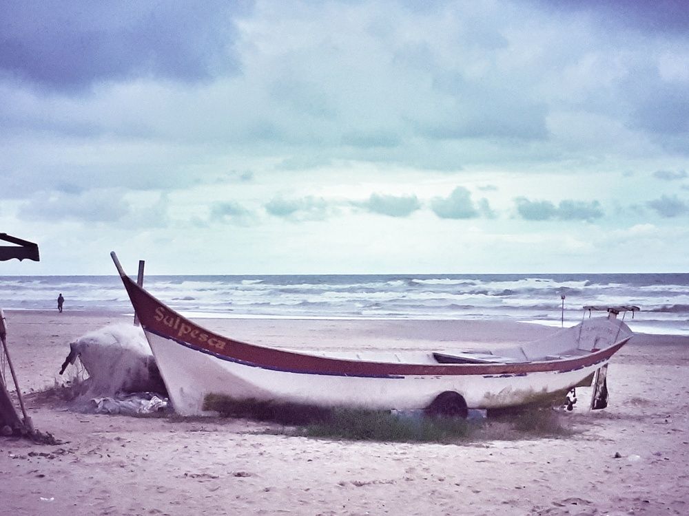 Фотография автора Marcia de Freitas Araujo