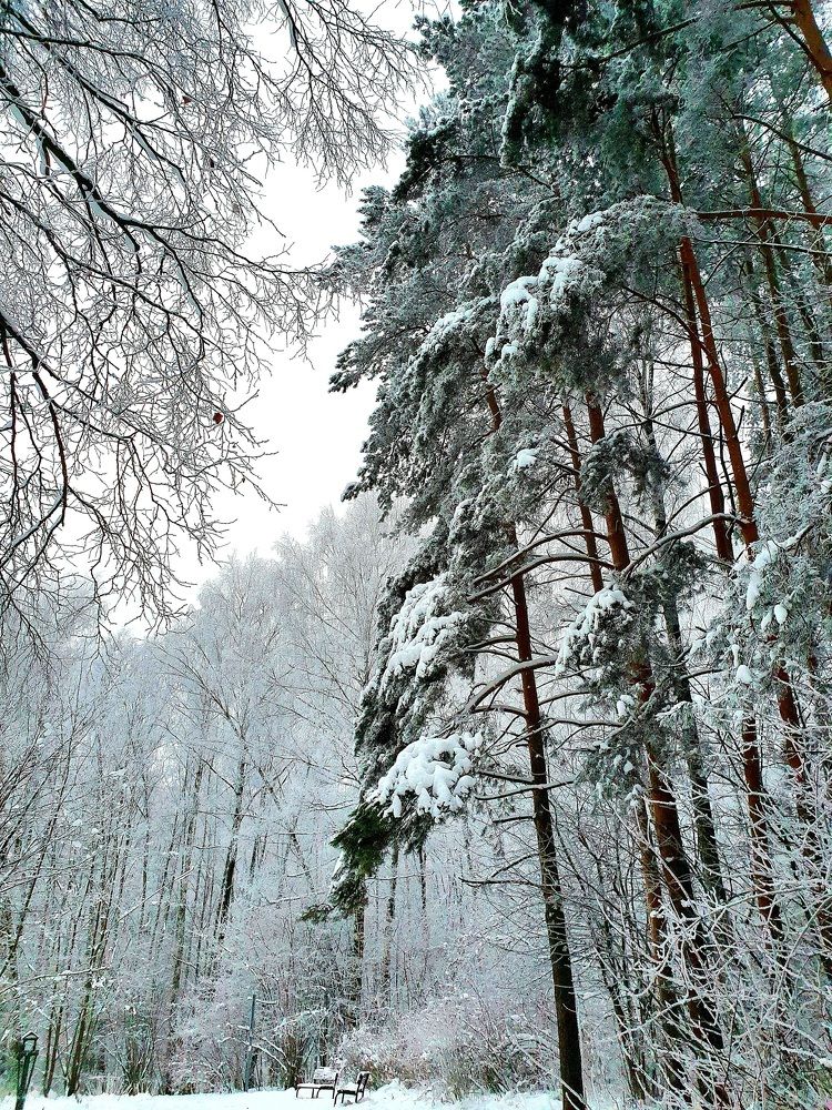 Photograph by Ева К.