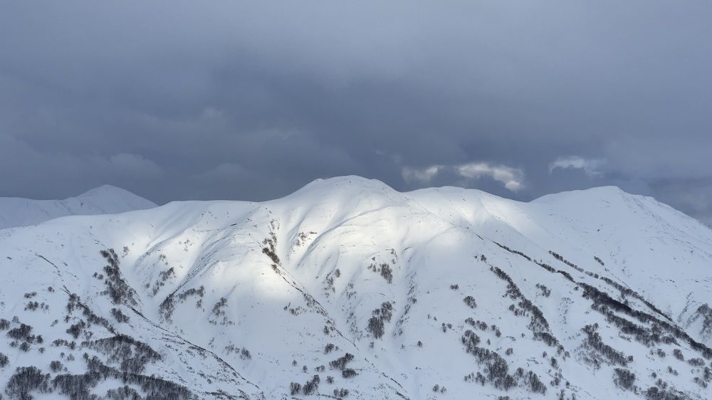 Photograph by Alina Belonozhko