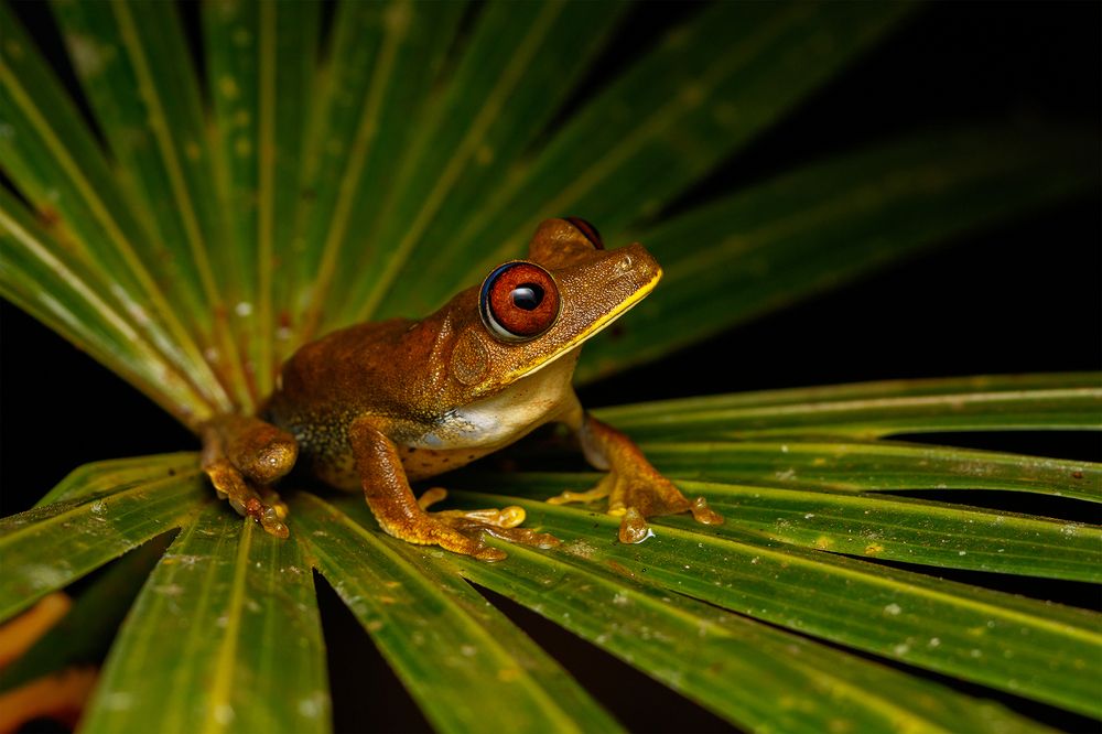 Photograph by Valdir Hobus