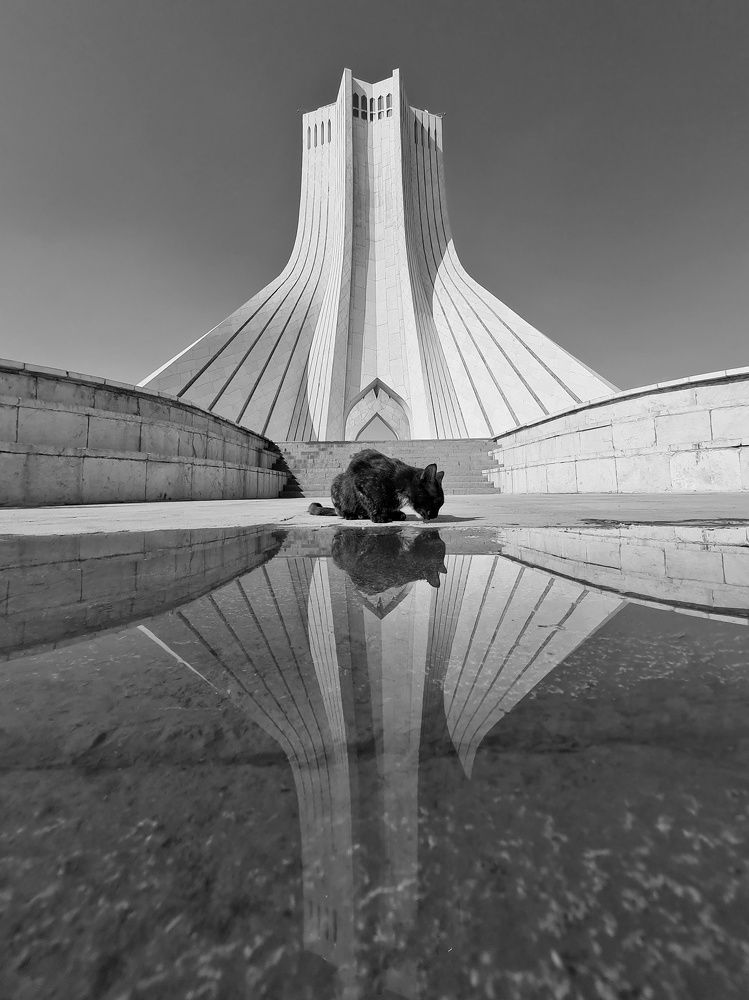 Photograph by Mohammad Jalilzadeh