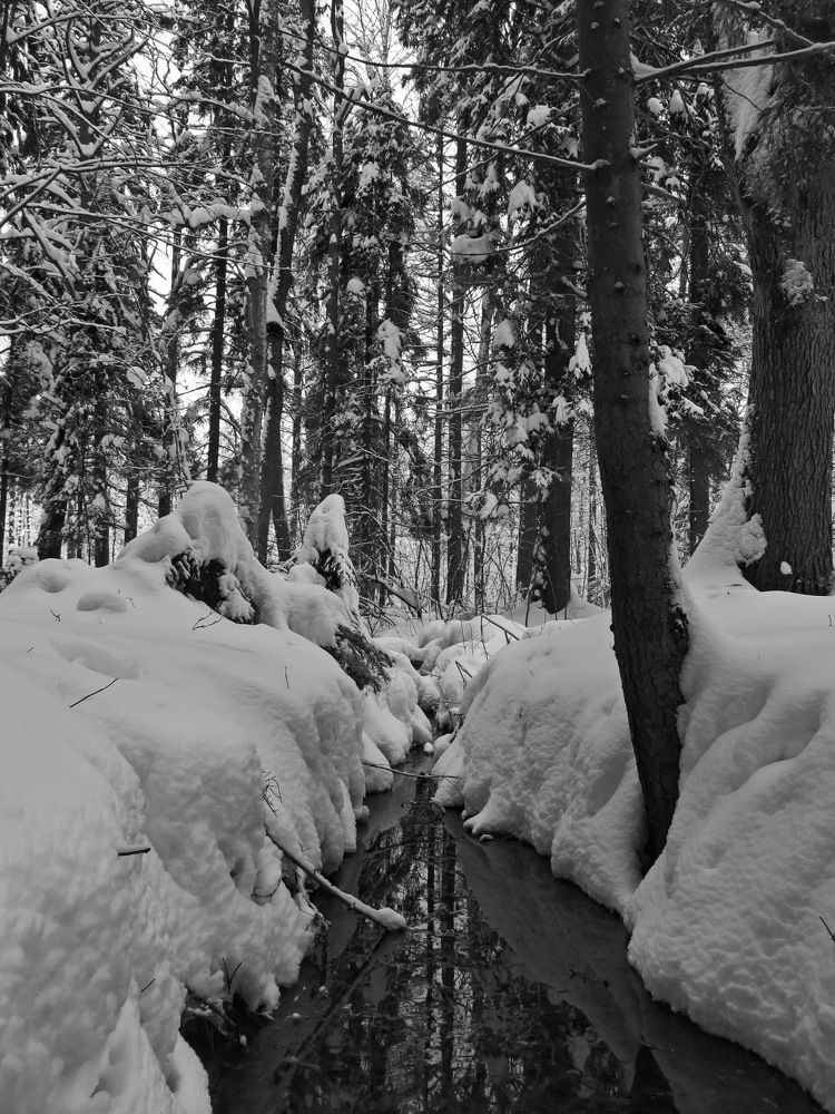 Photograph by Виктор Чернышов