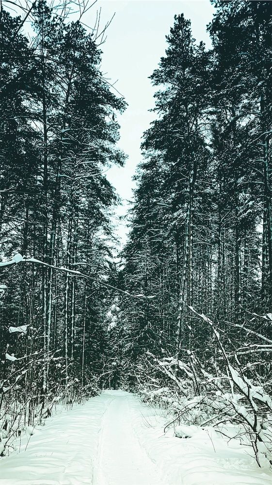 Photograph by Екатерина Алимова