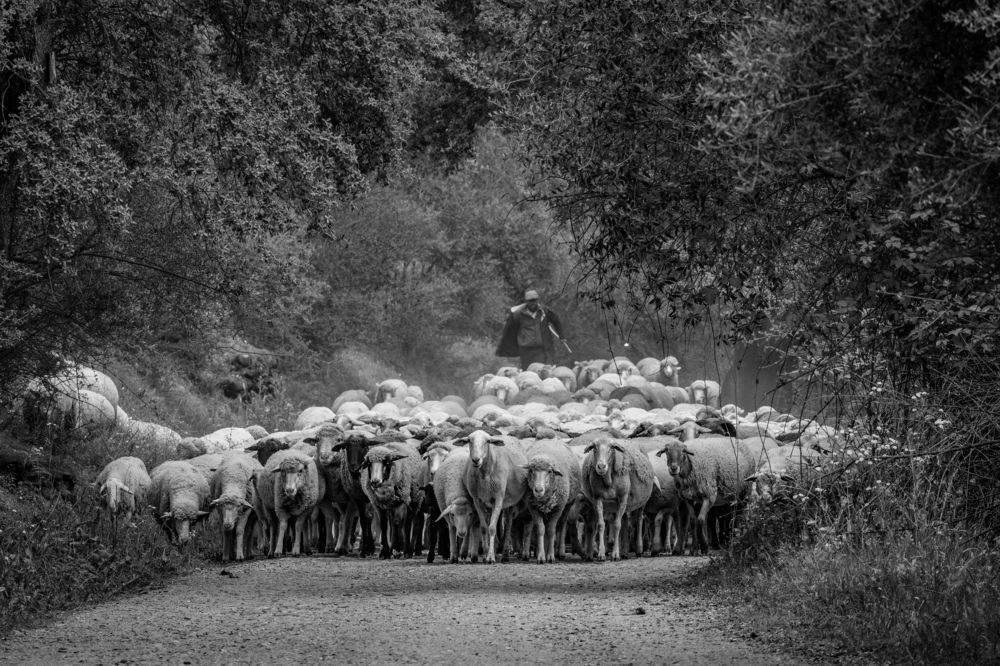 Photograph by Francisco José López Fernández