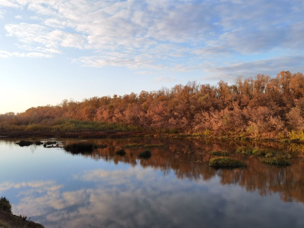 Photograph by Сергей Горбунов