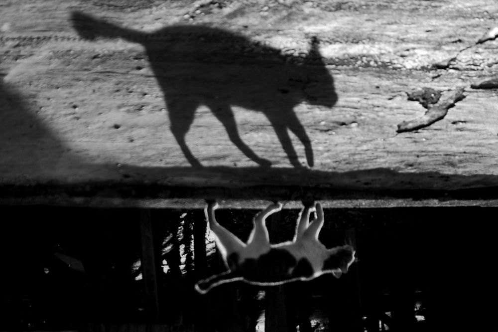 Photograph by  Deny Krisbiyantoro