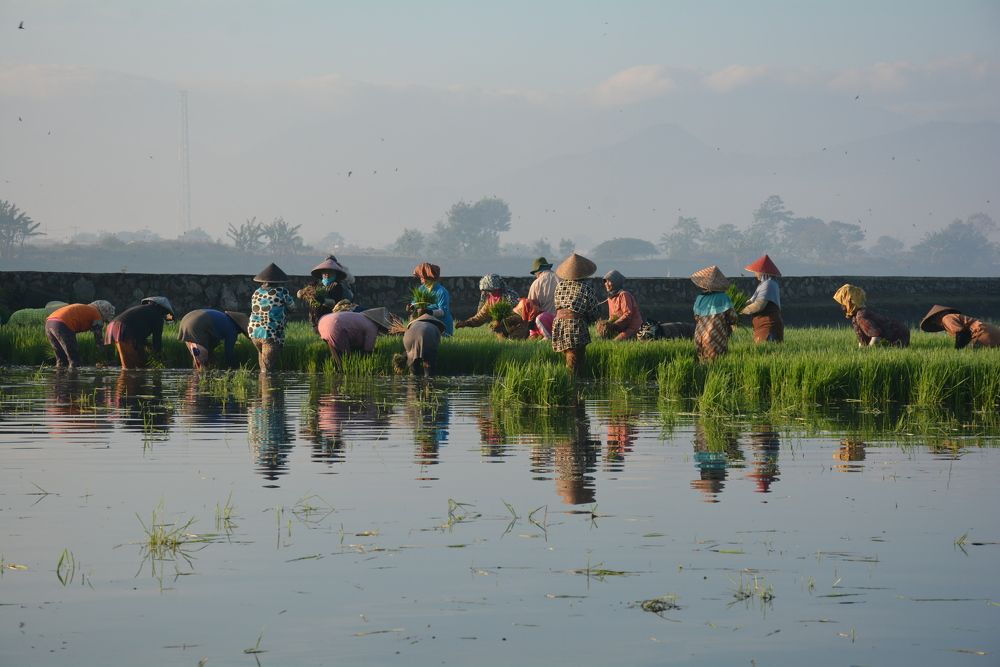 Photograph by Yosa Fiandra