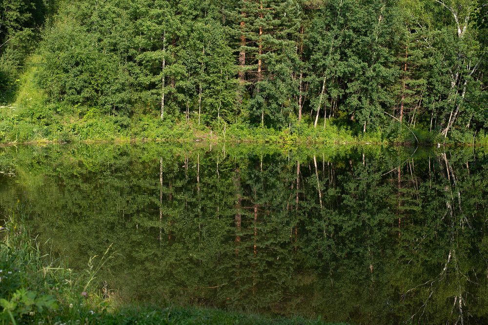 Photograph by Елена Рюмкина