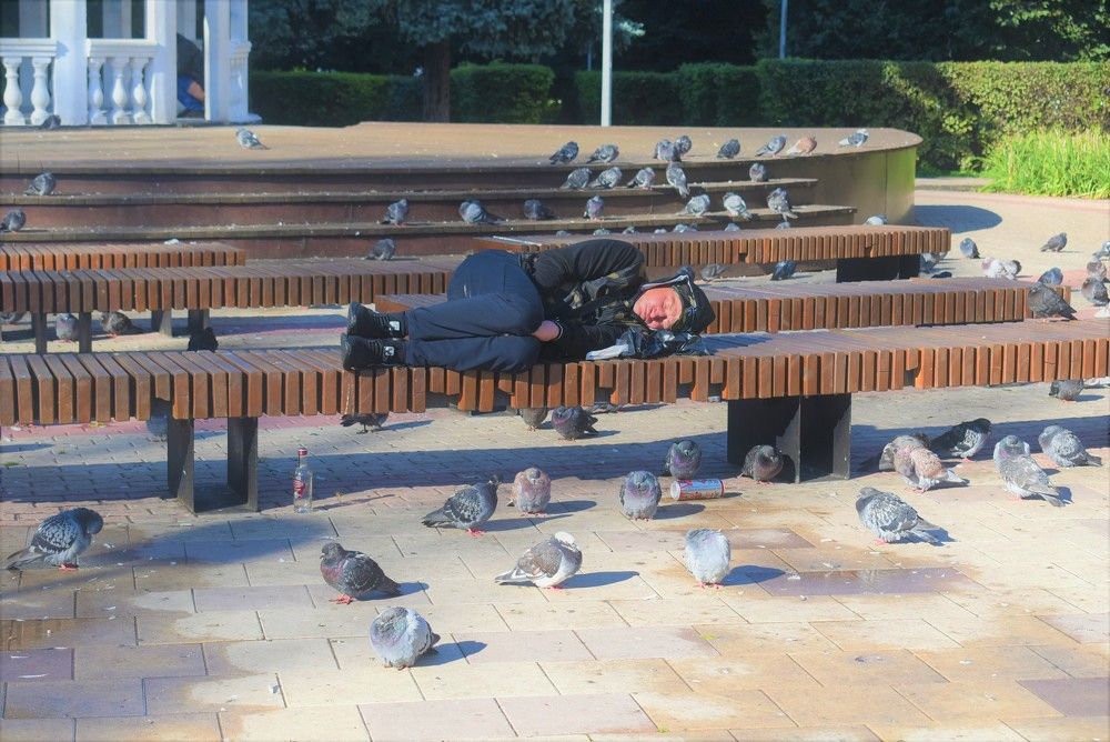 Photograph by Сергей Иванович Носов