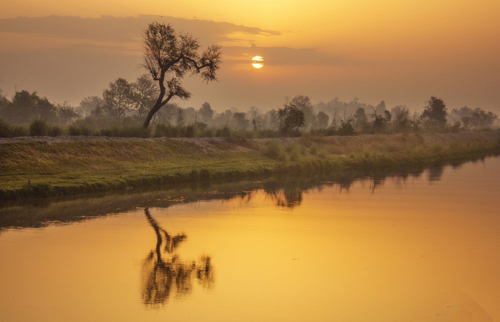 Photograph by Muhammad Ahmad