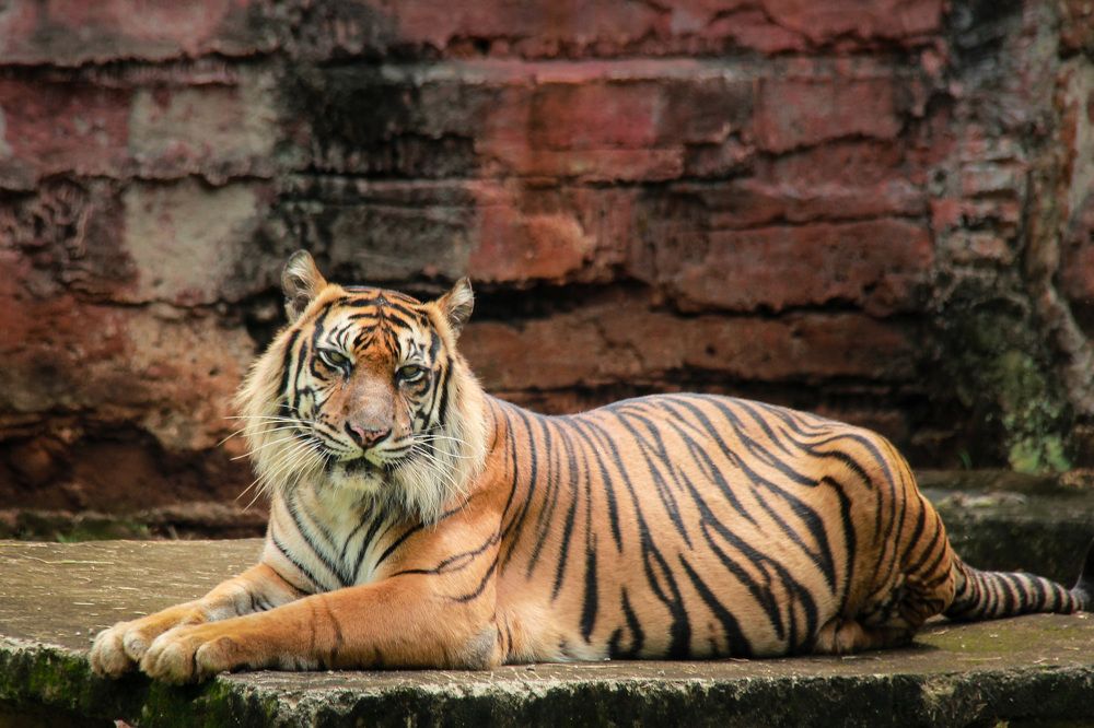 Photograph by Fauzan Ojan