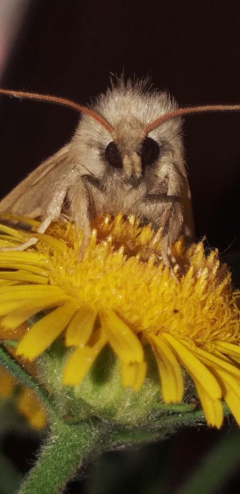 Photograph by Orzigul Babaniyozova