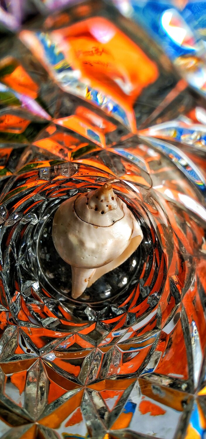 Photo #6995096