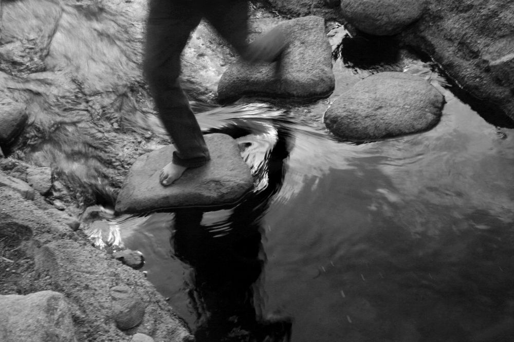 Everything is in motion