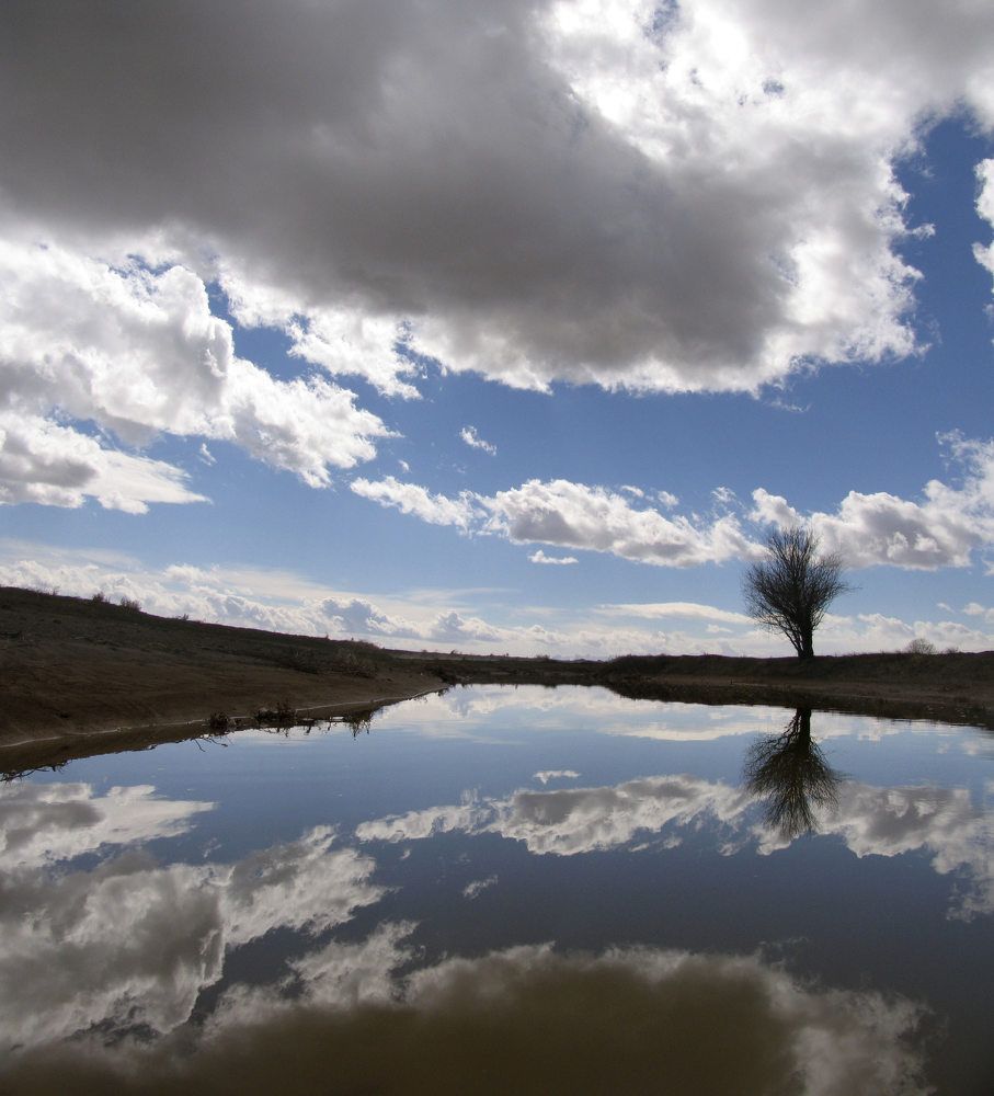 Фотография автора Ramin Barzegar