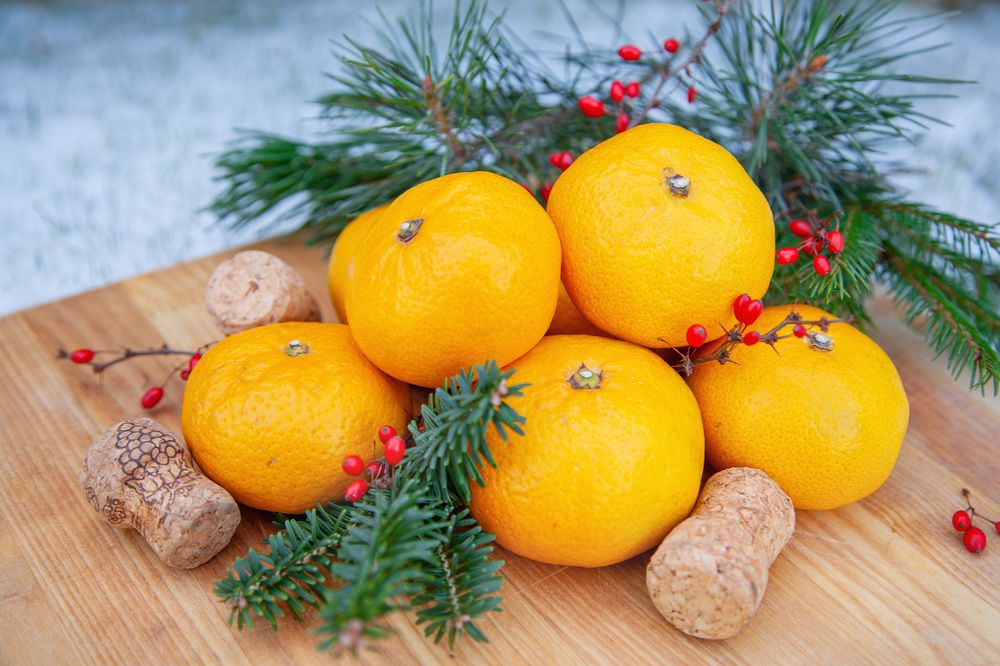 Фотография автора Альбина Кадочникова