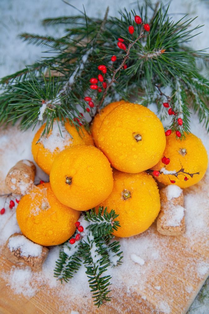 Фотография автора Альбина Кадочникова