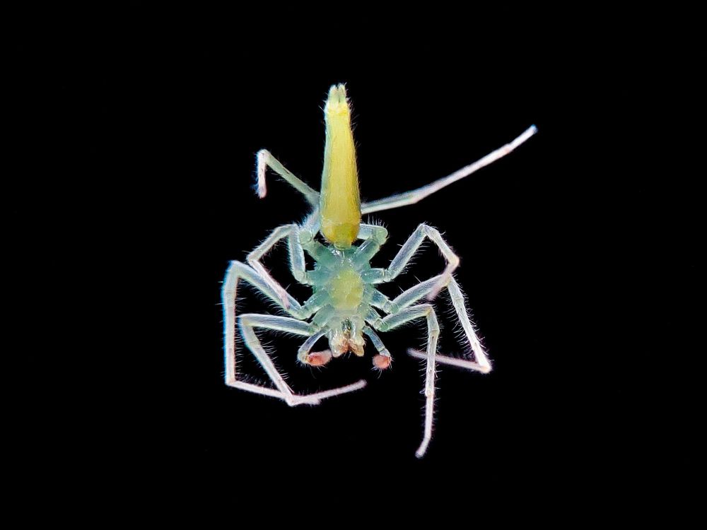 Photograph by Mehedi Hasan Shawan