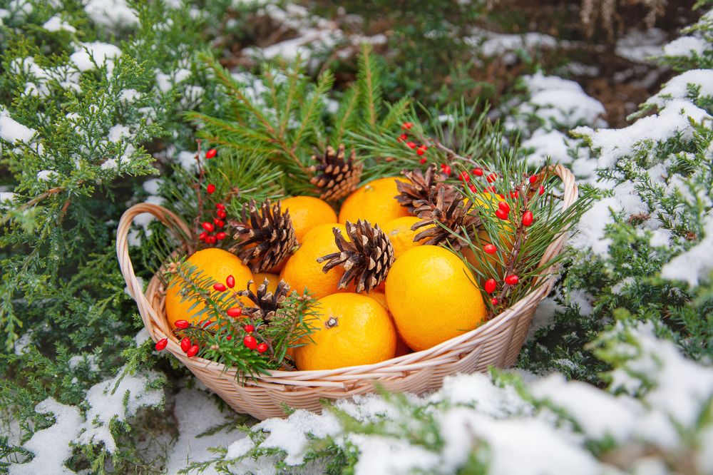 Фотография автора Альбина Кадочникова