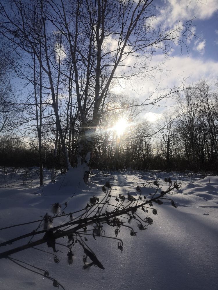 Photo #6995270