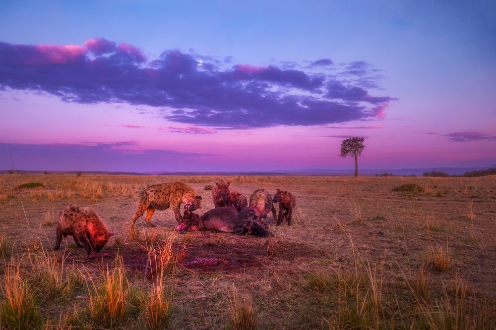 Фотография автора Dr.Hitesh Patel