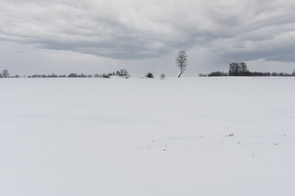Одиночество
