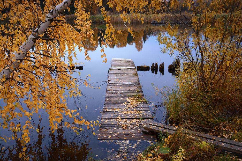 Золото осени