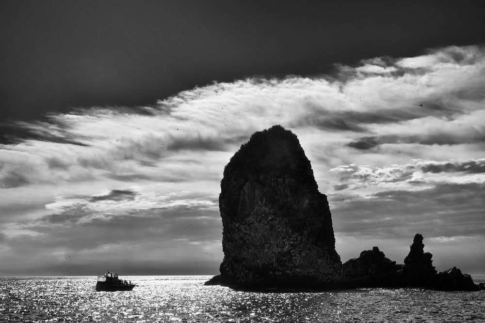 В Авачинской бухте