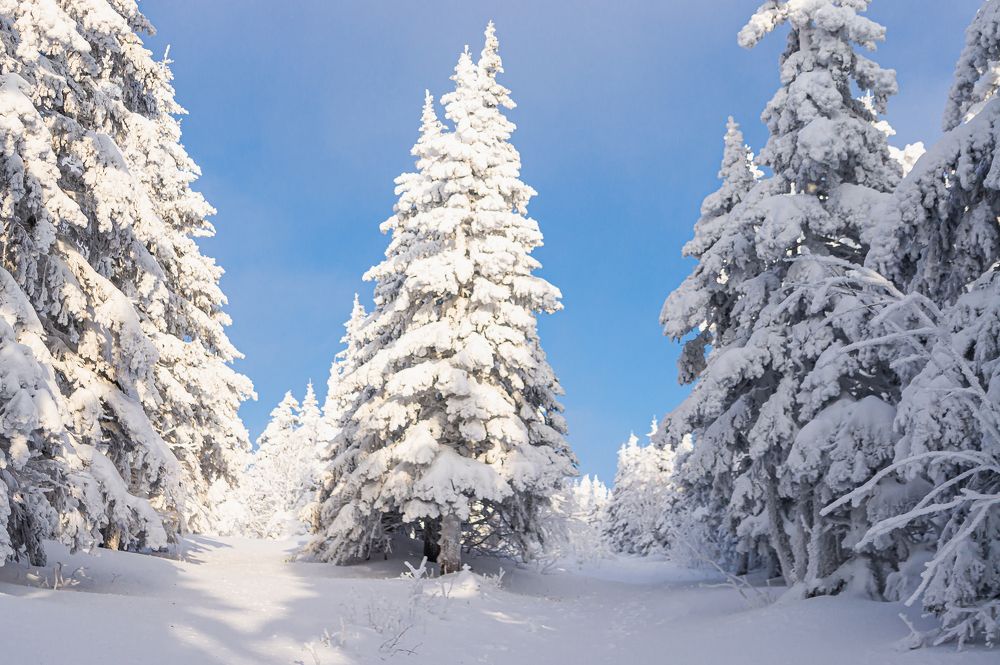 Зима на Таганае