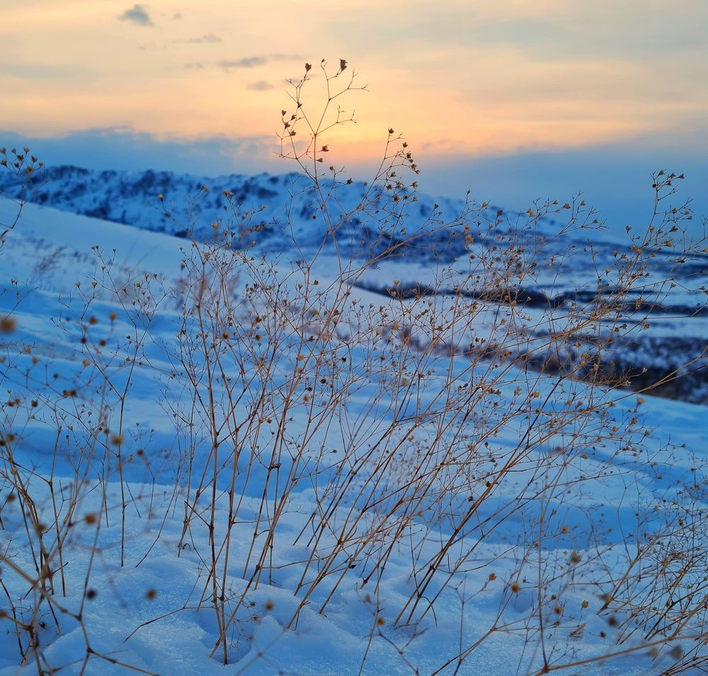 Photograph by Ольга Веселова