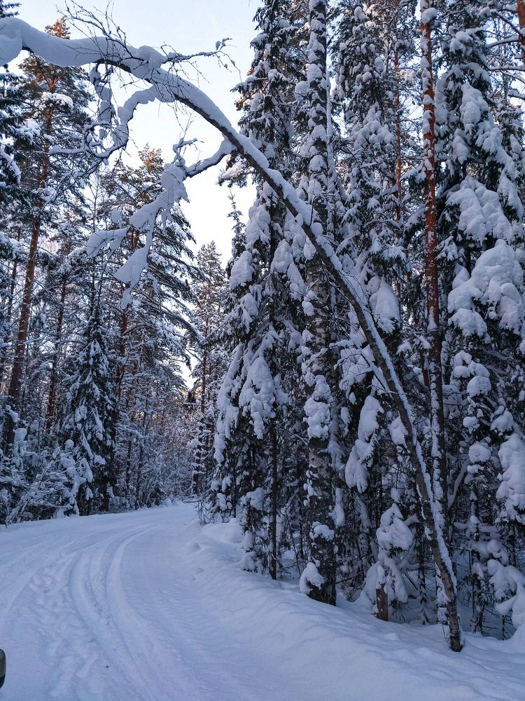 Photograph by Наташа Черепенина