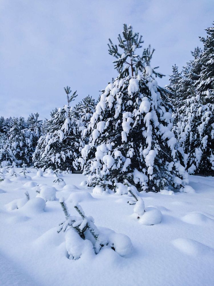 Photograph by Наташа Черепенина