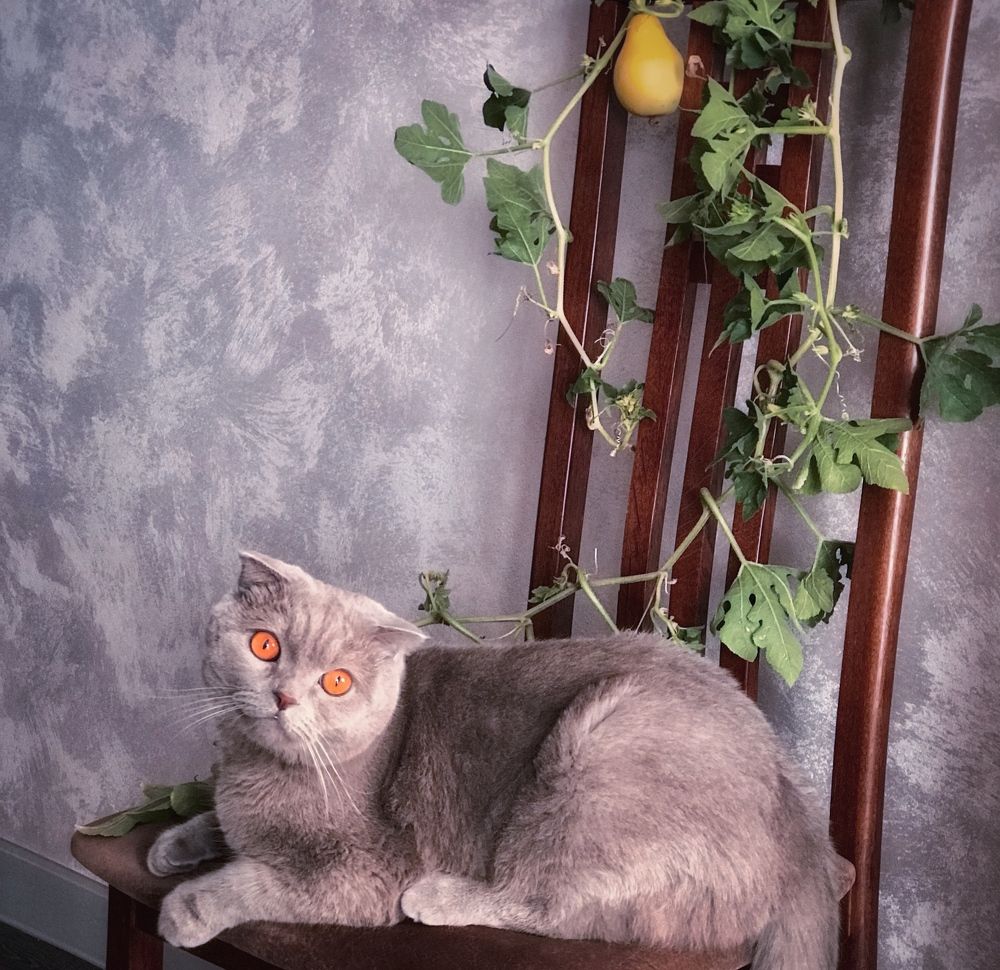 Photograph by Наталья Перерва