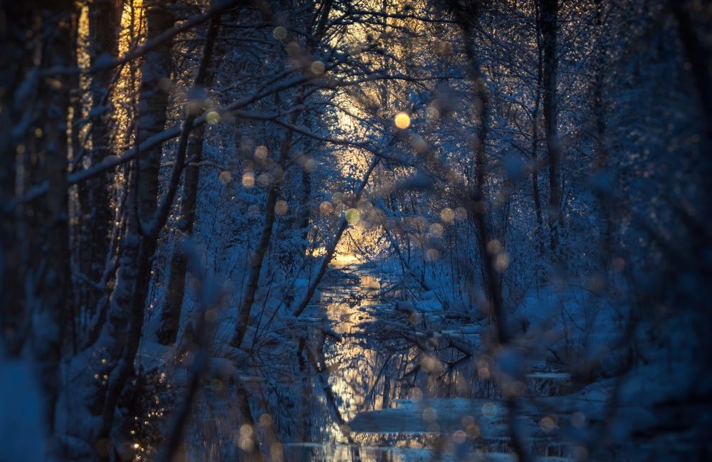 Photograph by Ольга Попова