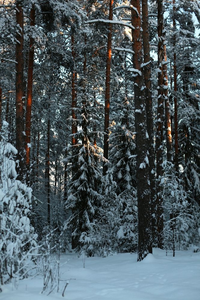 Photograph by Татьяна Лопатина