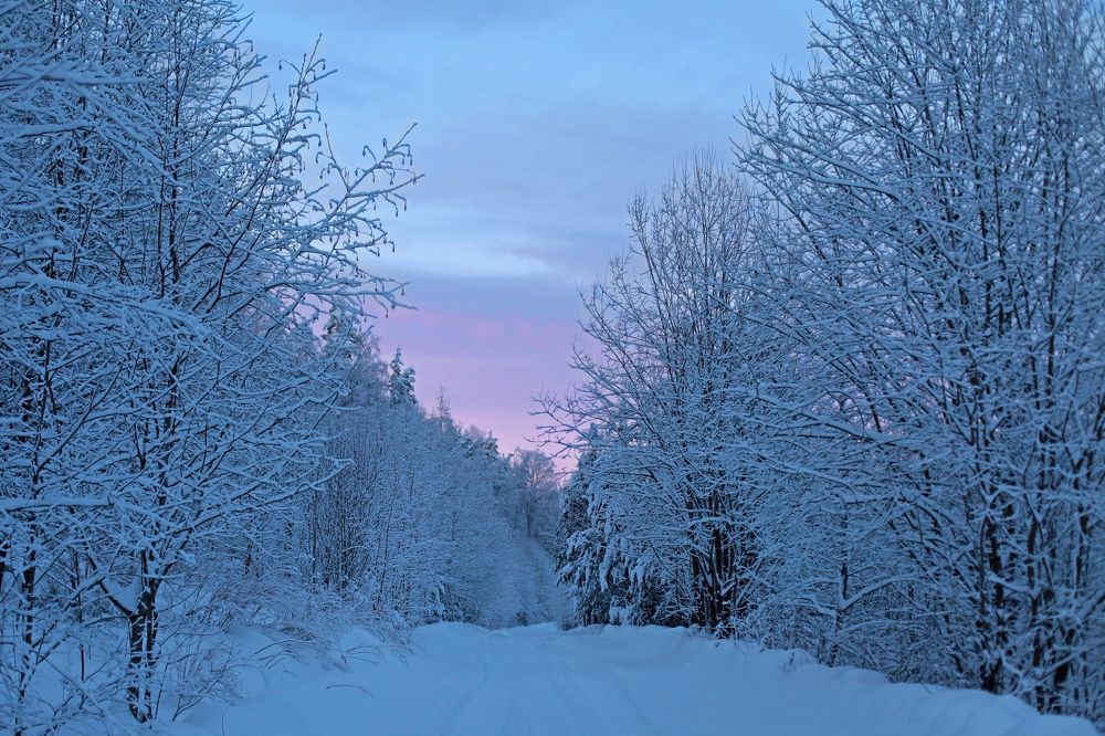 Photograph by Татьяна Лопатина