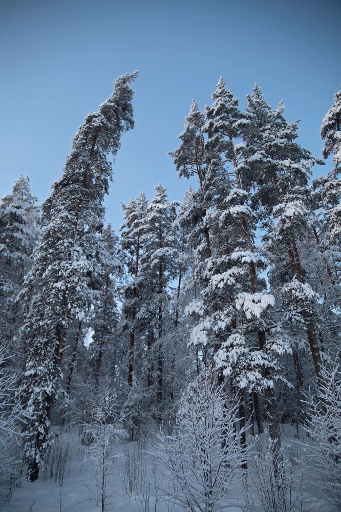 Photograph by Татьяна Лопатина