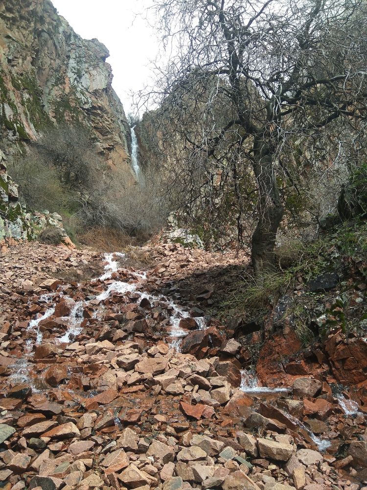 Photograph by Aliya Ismailova