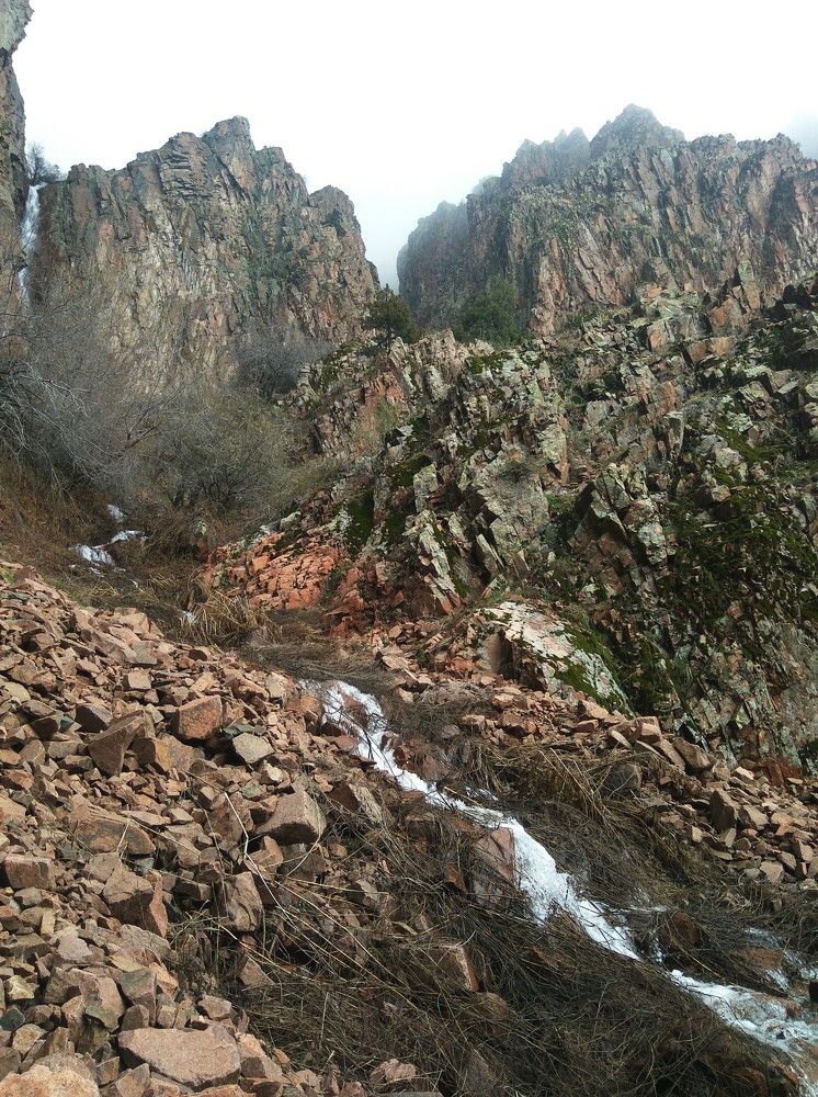 Photograph by Aliya Ismailova